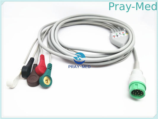 5 سرب Mindray ECG کابل، دور 12 پین بزرگسالان Ecg کابل و Leadwires