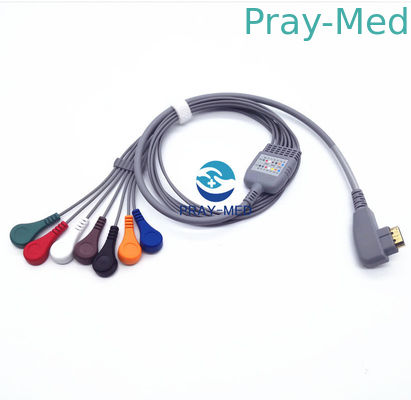 DMS Holter ECG Patient Cable 5/7/10 سرب 19 پین با گارانتی 6 ماهه